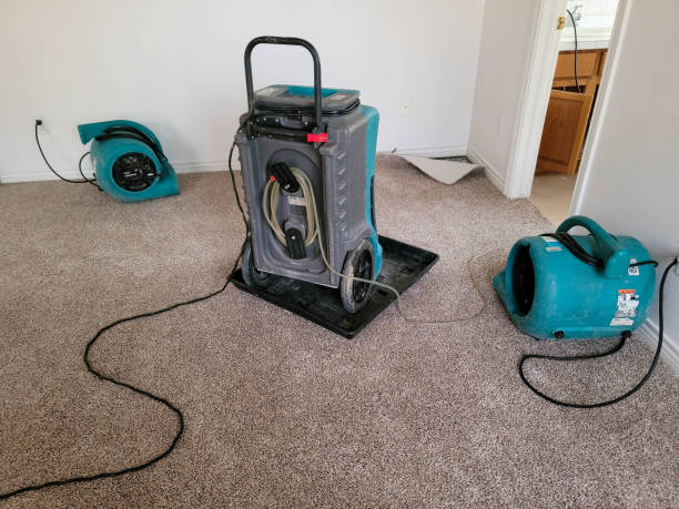Professional Water damage restoration in Kosciusko, MS