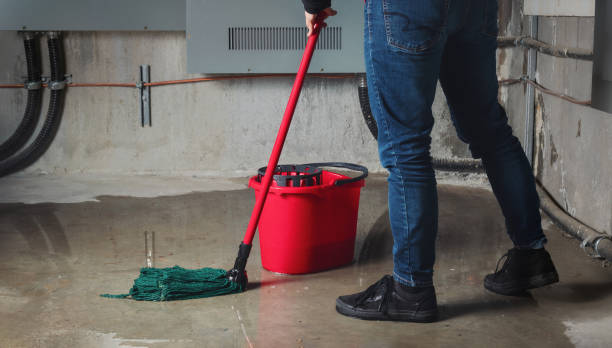 Best Flood restoration services  in Kosciusko, MS