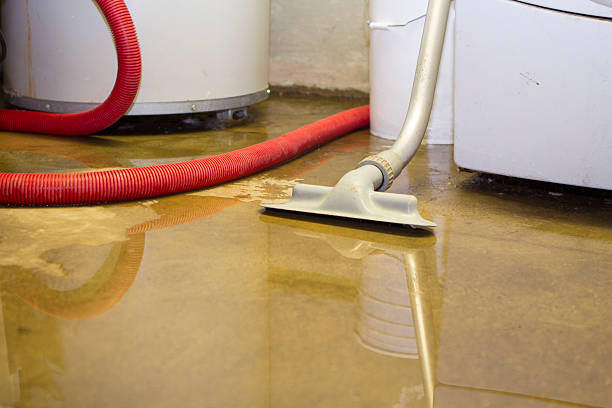 Best Residential water damage restoration  in Kosciusko, MS