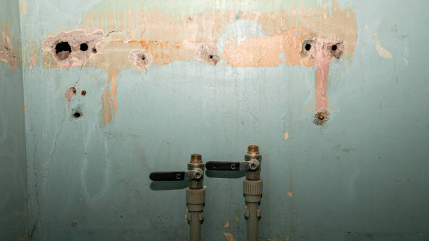 Best Water damage contractors near me  in Kosciusko, MS